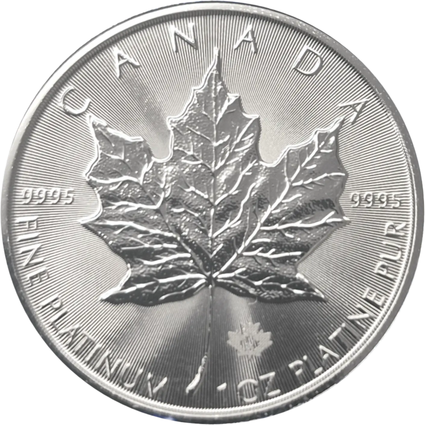 Platinum 1oz Maple Leaf Coin
